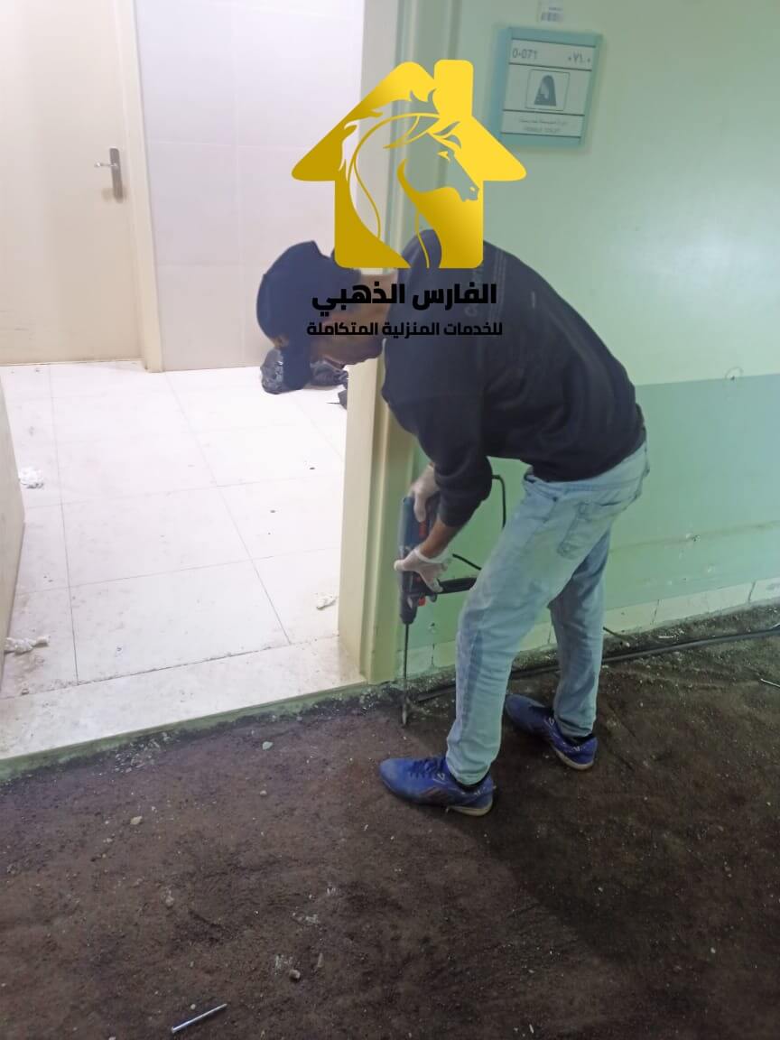 رش النمل الابيض