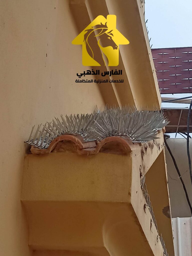 شركة طرد الحمام