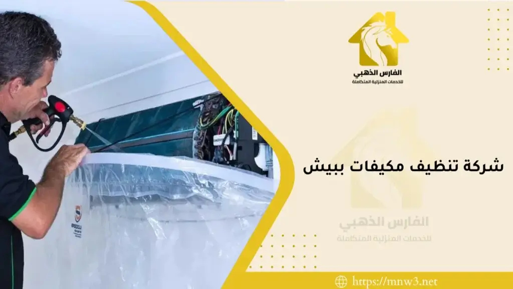 شركة تنظيف مكيفات ببيش