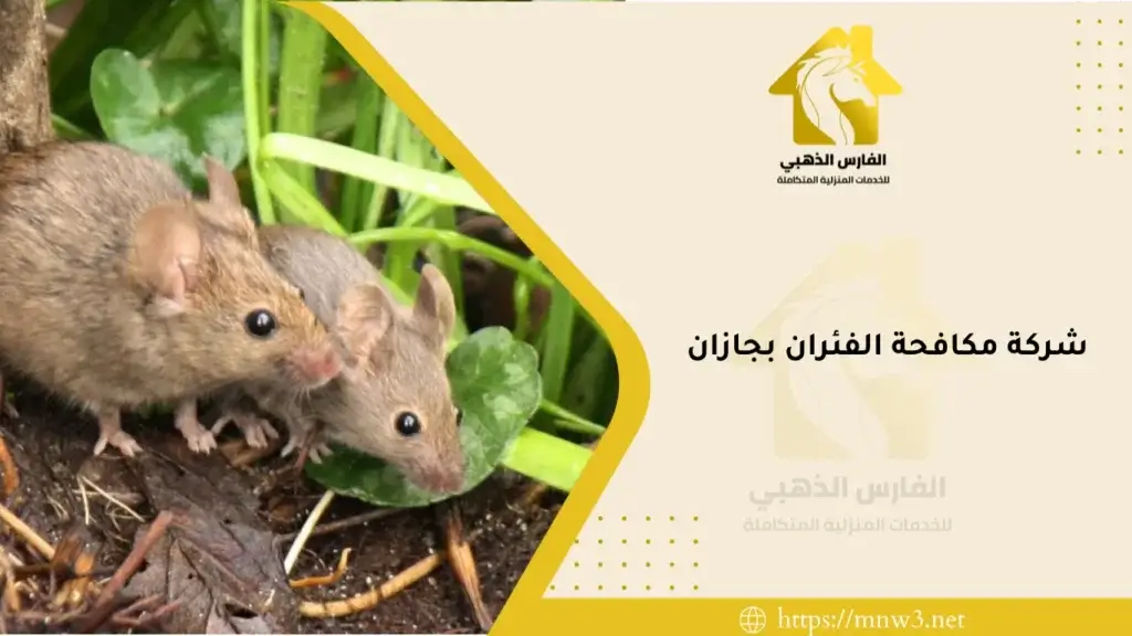 شركة مكافحة الفئران بجازان