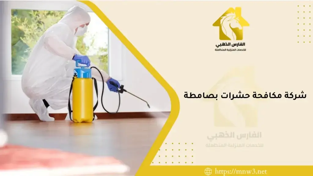شركة مكافحة حشرات بصامطة