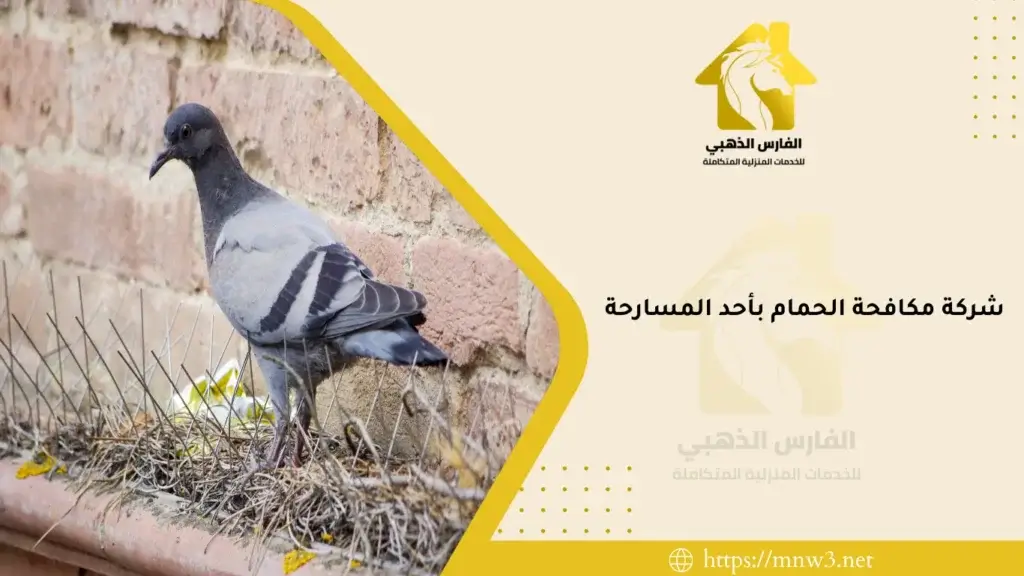شركة مكافحة الحمام بأحد المسارحة