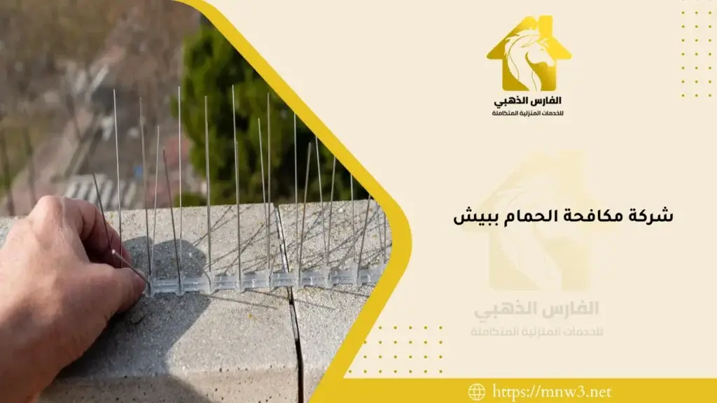 شركة مكافحة الحمام ببيش