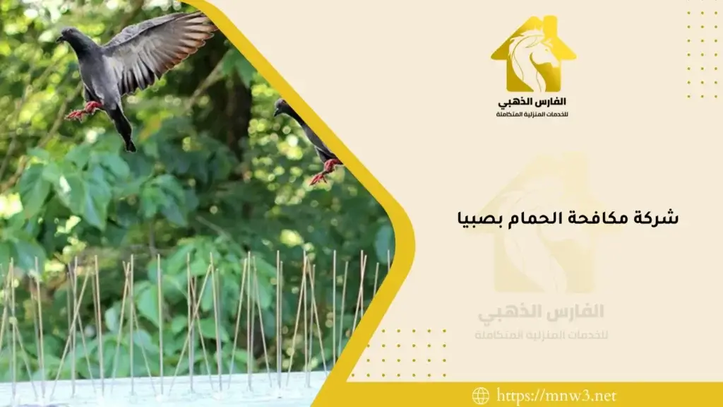 شركة مكافحة الحمام بصبيا
