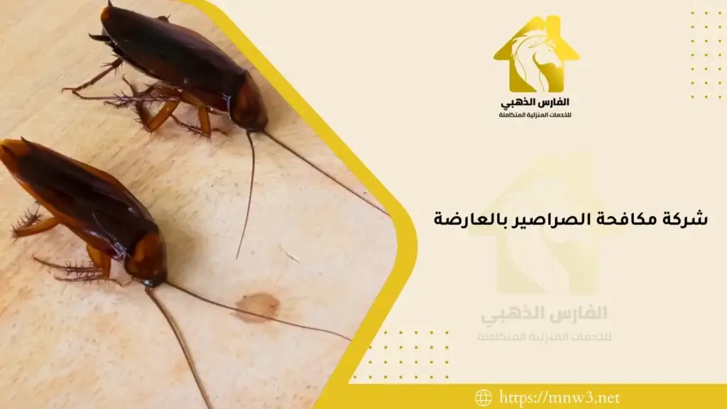 شركة مكافحة الصراصير بالعارضة