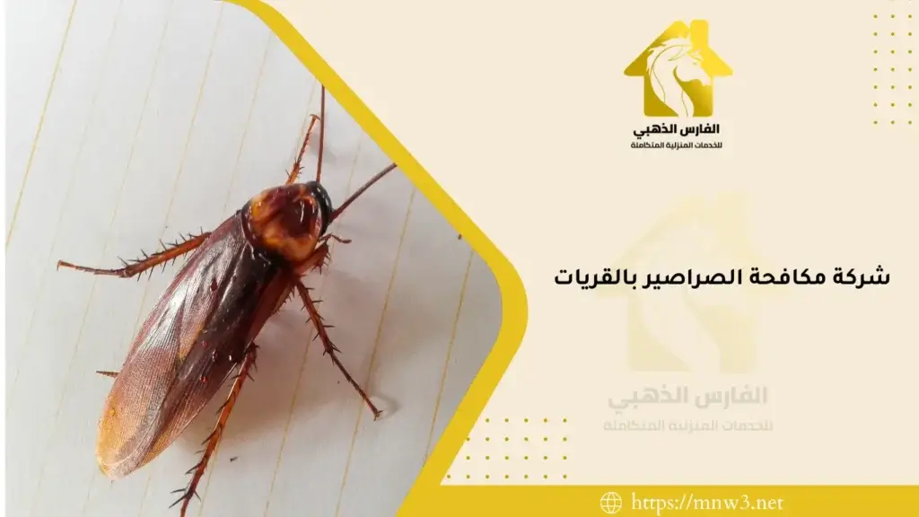 شركة مكافحة الصراصير بالقريات
