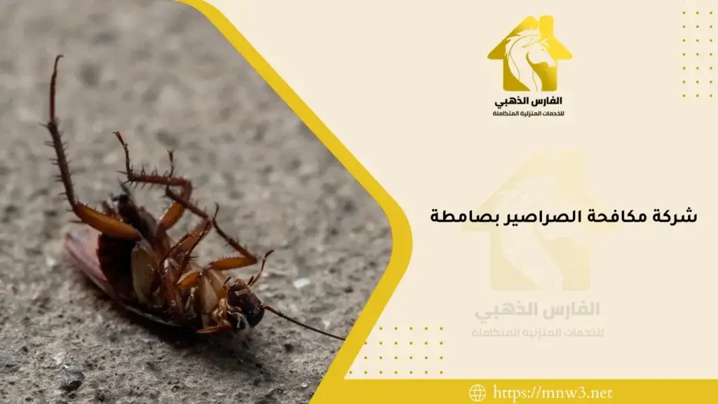 شركة مكافحة الصراصير بصامطة