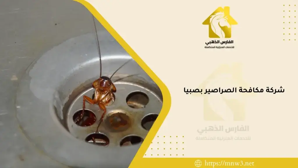 شركة مكافحة الصراصير بصبيا