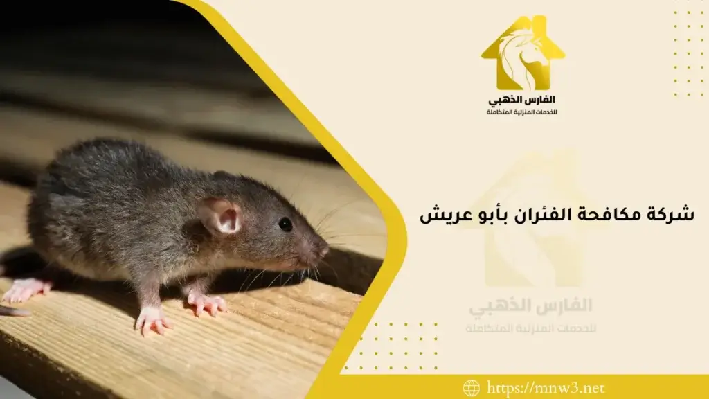 شركة مكافحة الفئران بأبو عريش