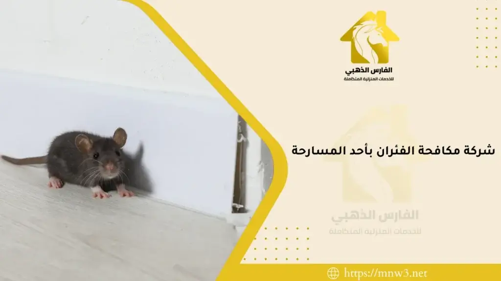 شركة مكافحة الفئران بأحد المسارحة