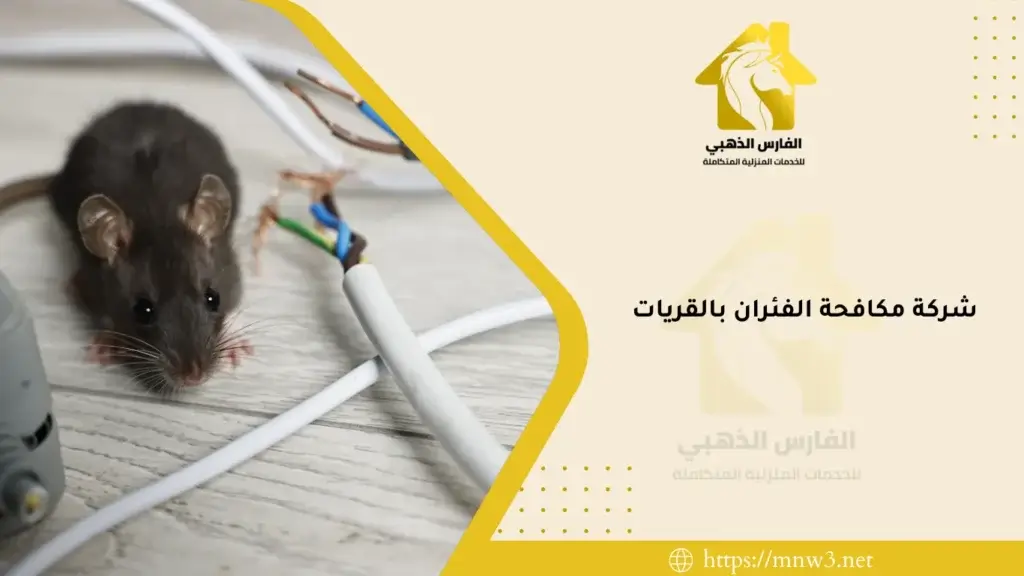 شركة مكافحة الفئران بالقريات