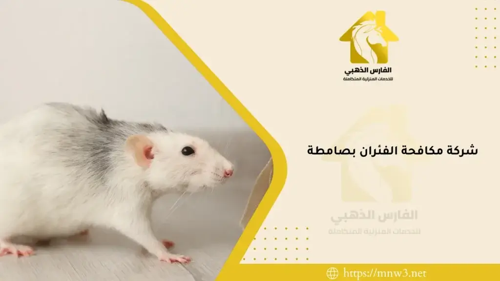 شركة مكافحة الفئران بصامطة