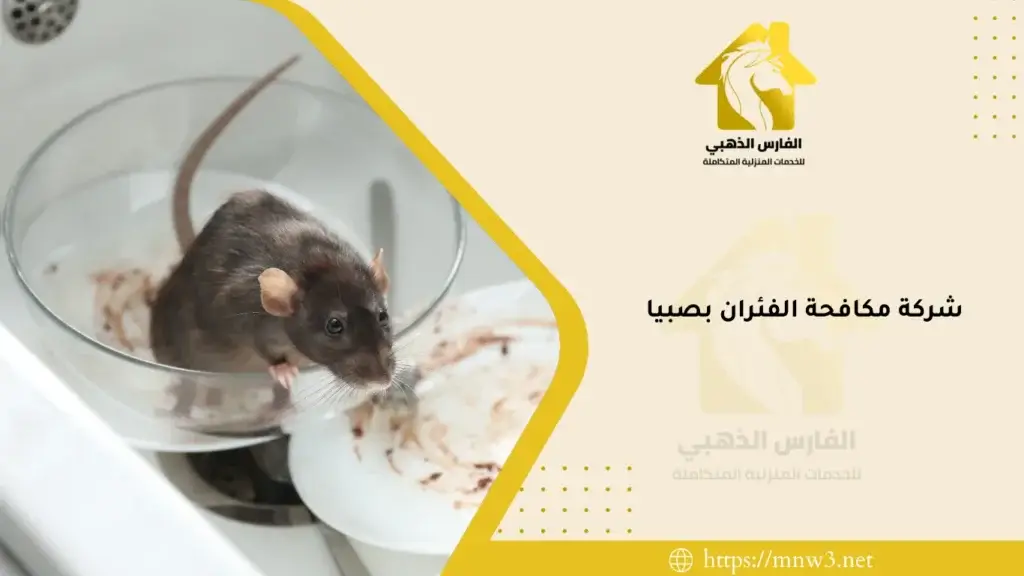 شركة مكافحة الفئران بصبيا