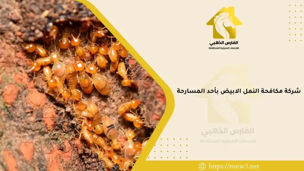 شركة مكافحة النمل الابيض بأحد المسارحة