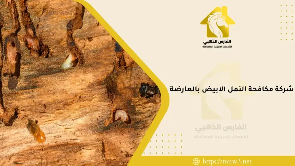 شركة مكافحة النمل الابيض بالعارضة