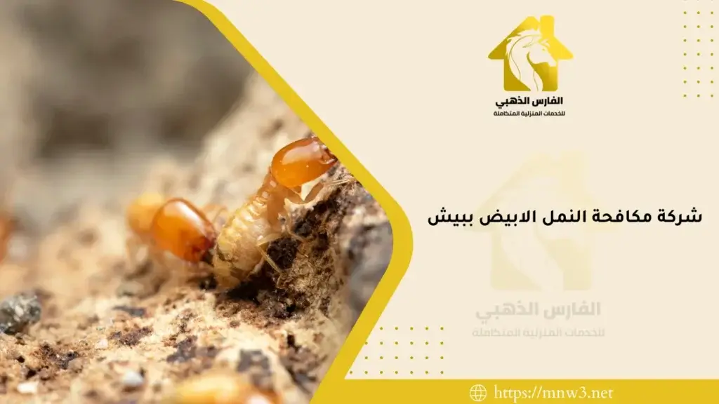 شركة مكافحة النمل الابيض ببيش