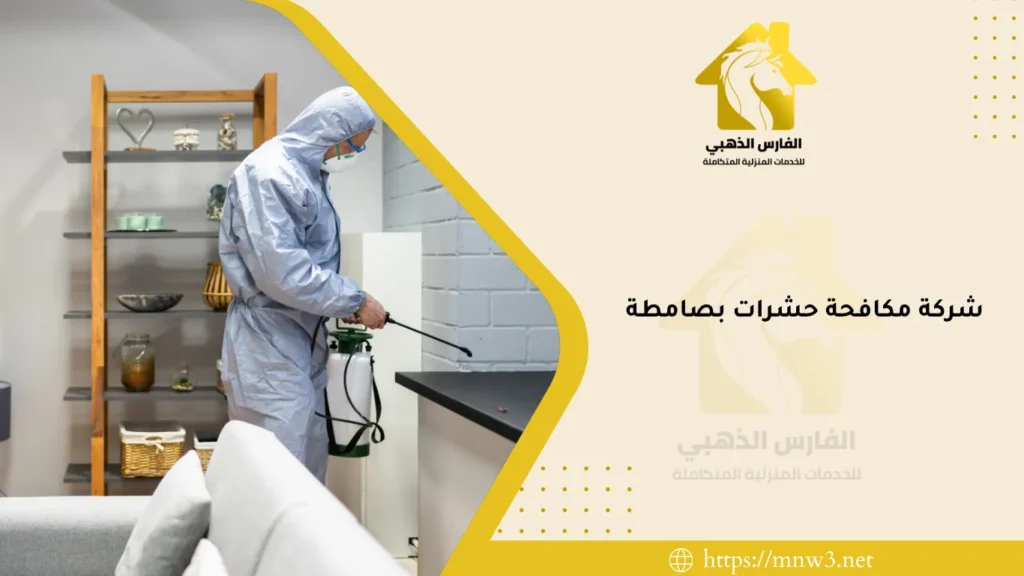 شركة مكافحة حشرات بصامطة