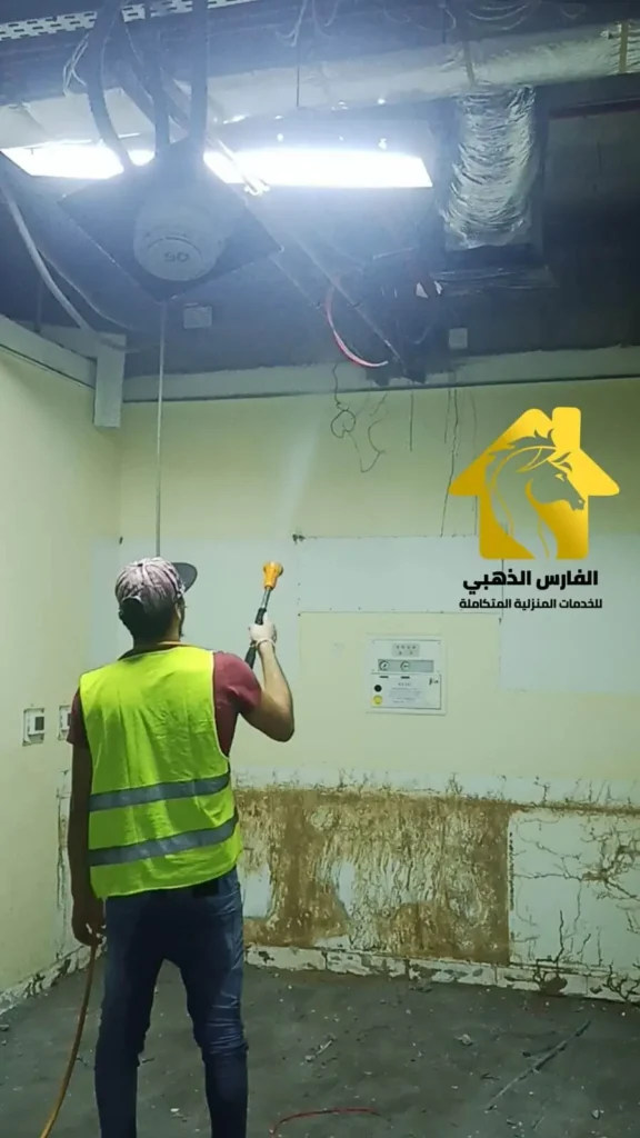 القضاء على النمل الابيض