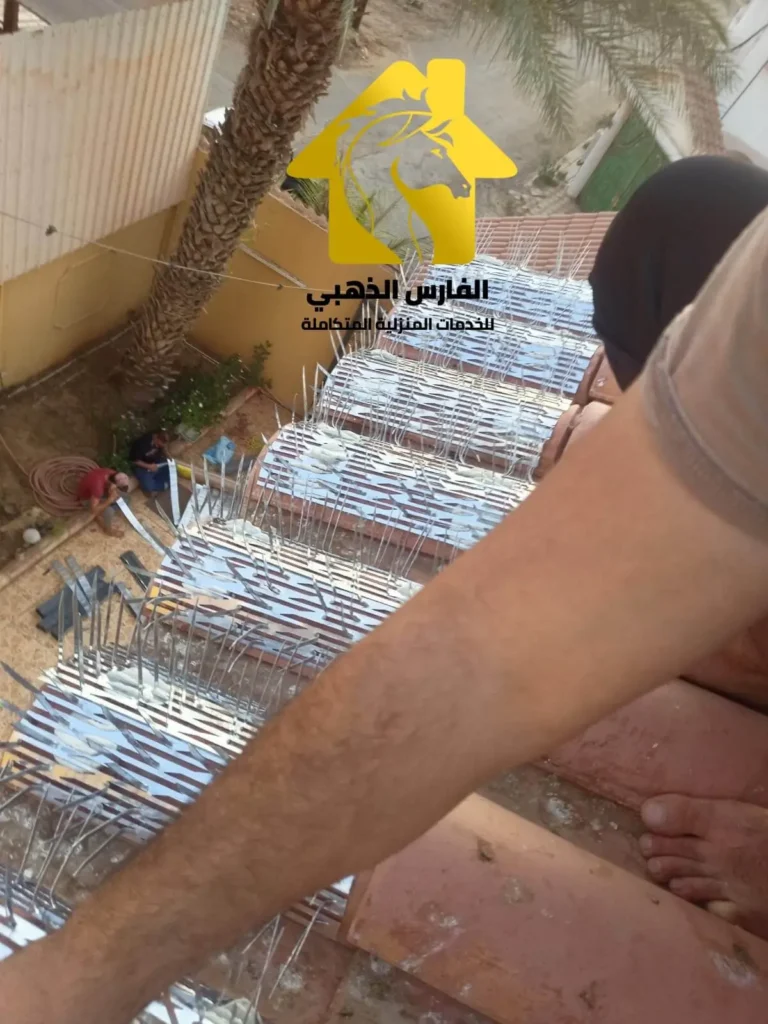 اشواك لطرد الحمام