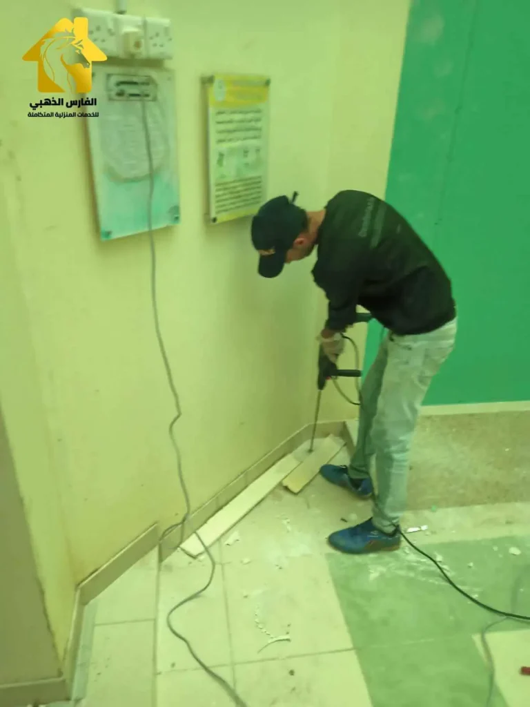 مكافحة الحشرات