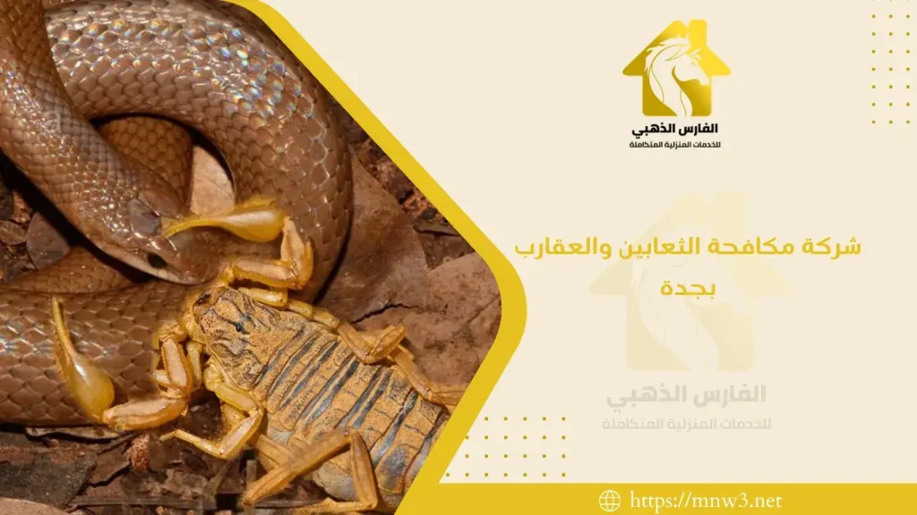 شركة مكافحة الثعابين والعقارب بجدة