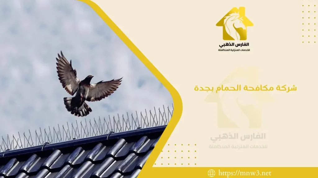 شركة مكافحة الحمام بجدة