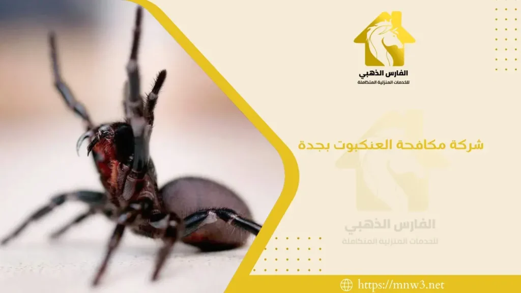 شركة مكافحة العنكبوت بجدة