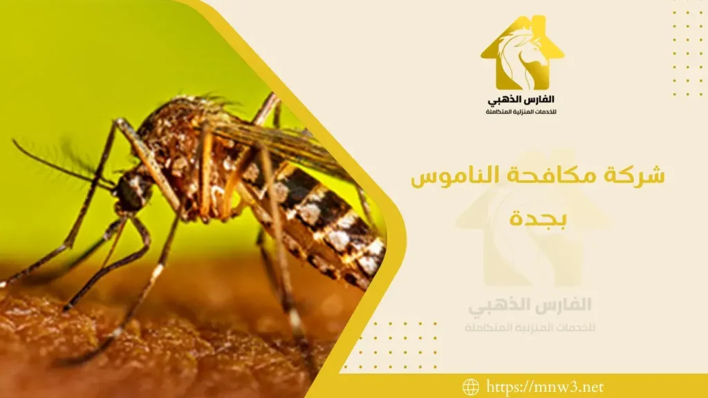 شركة مكافحة الناموس بجدة