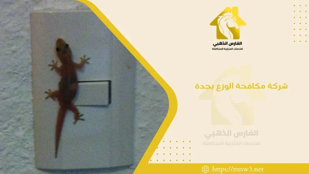 شركة مكافحة الوزغ بجدة