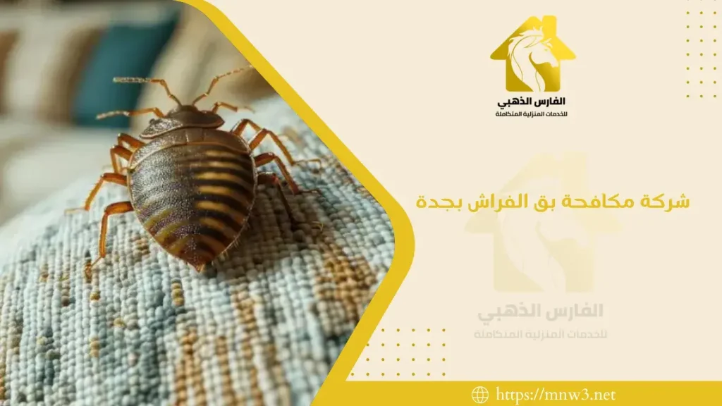 شركة مكافحة بق الفراش بجدة