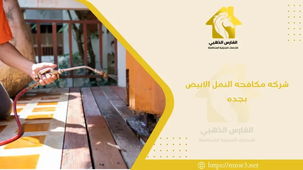 شركه مكافحه النمل الابيض بجده