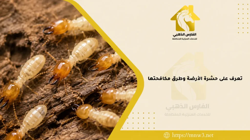 تعرف على حشرة الأرضة وطرق مكافحتها