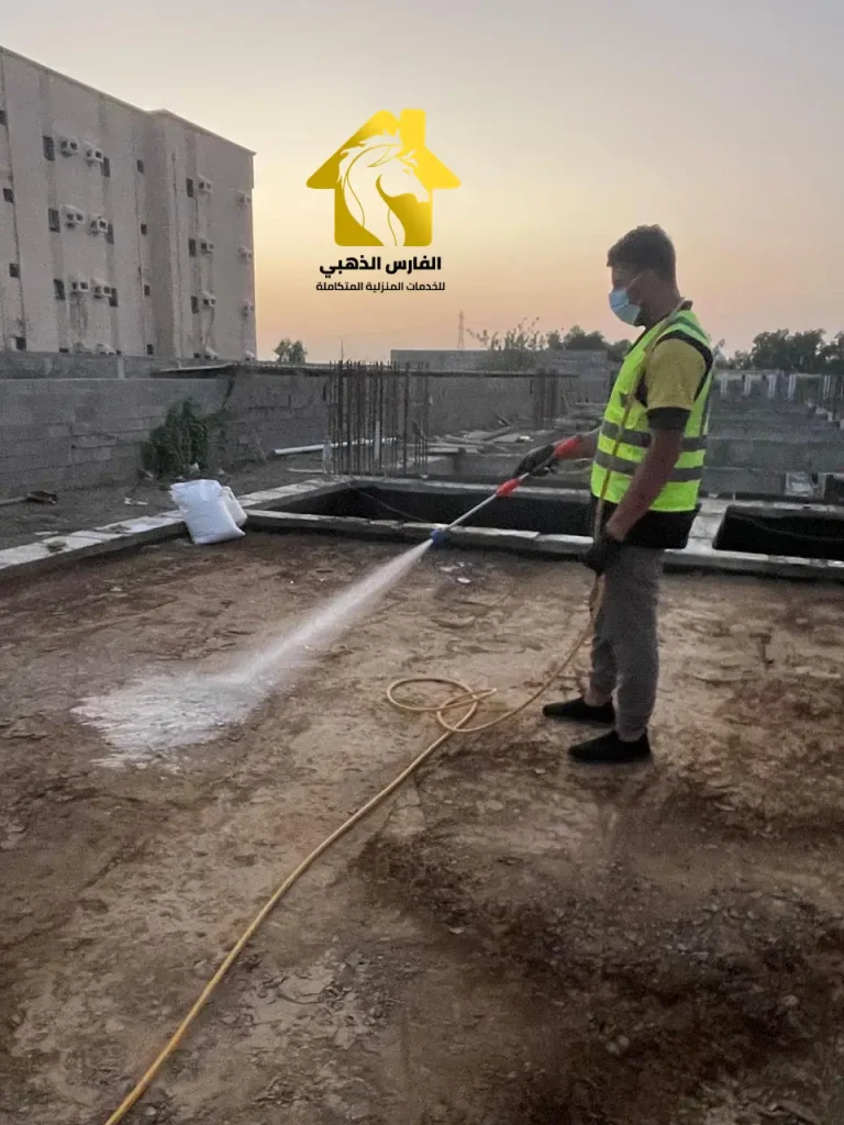 رش مبيدات الحشرات