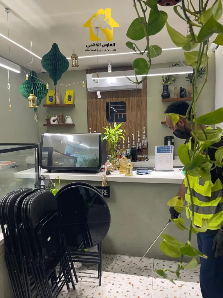 رش مبيدات ومكافحة الحشرات