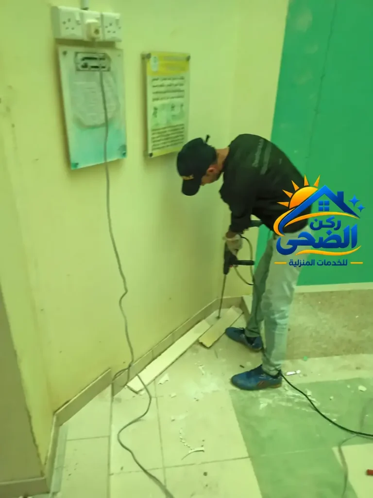 ابادة النمل الابيض