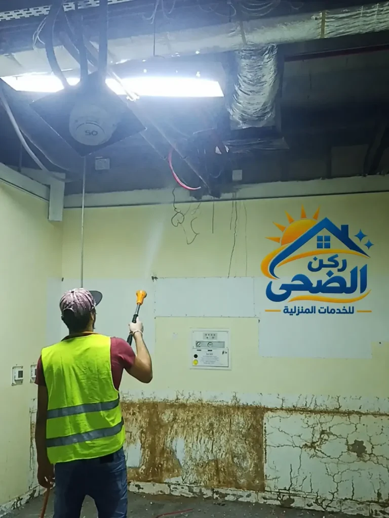 القضاء على النمل الابيض