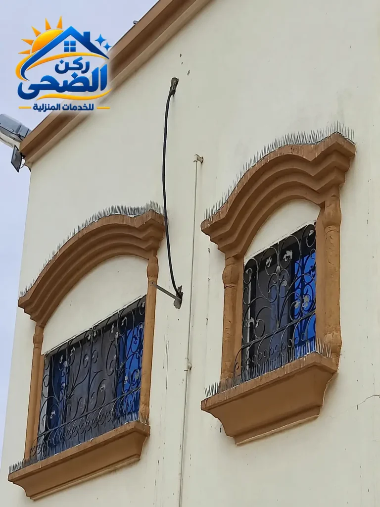 تركيب اشواك الحمام