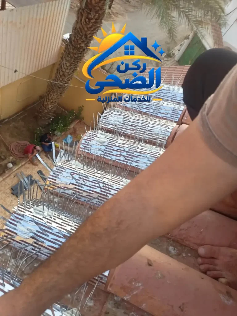 تركيب اشواك لطرد الحمام