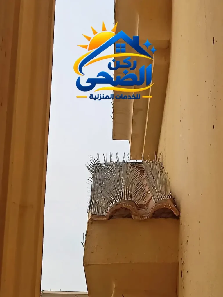 تركيب شبك لمنع الحمام