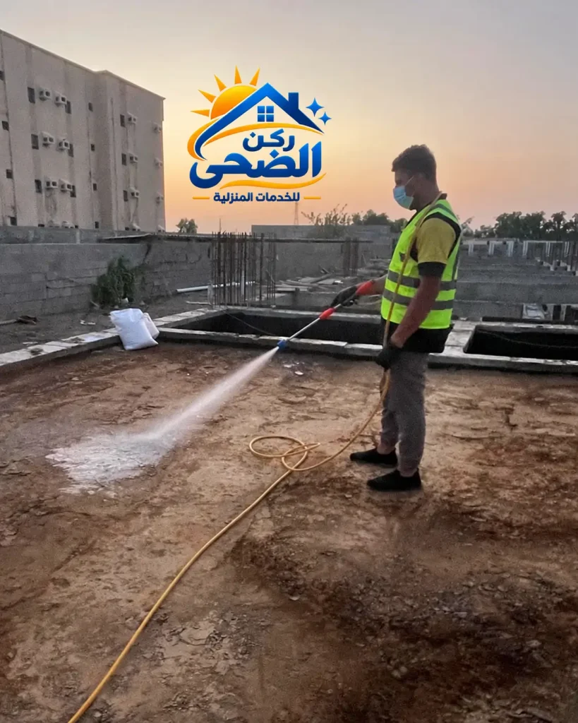 رش مبيدات الحشرات