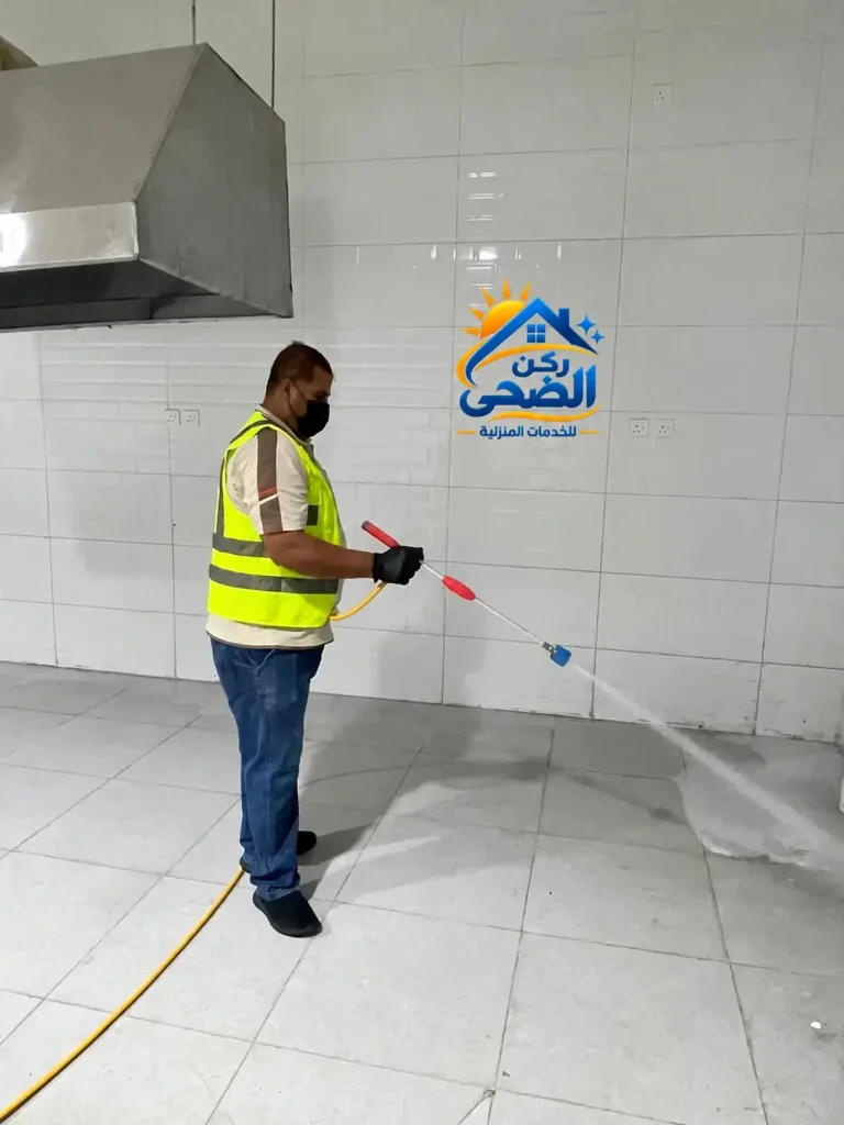 رش مبيدات حشرية
