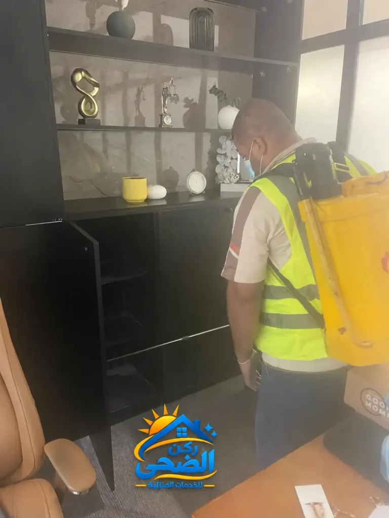 شركة رش حشرات