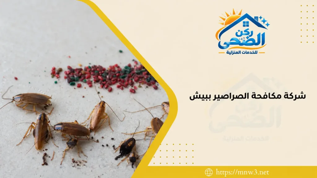 شركة مكافحة الصراصير ببيش