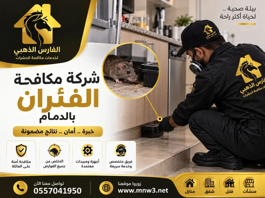 شركة مكافحة الفئران بالدمام
