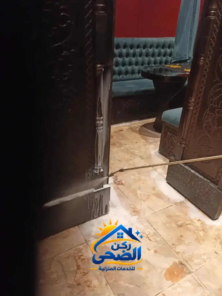 شركة مكافحة حشرات