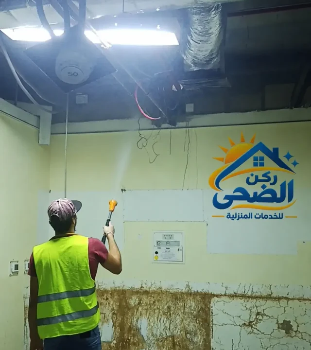 القضاء على النمل الابيض